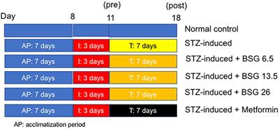 Black solo garlic protects hepatic and renal cell function in streptozotocin-induced rats